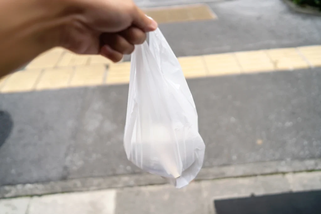 2025년 7월 11일 오키나와 날씨 치킨 도시락을 구입하여 피크닉 준비