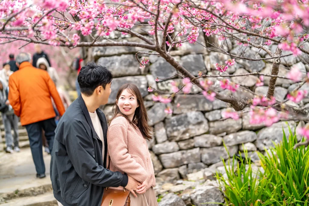 오키나와 스냅 벚꽃 아래에서