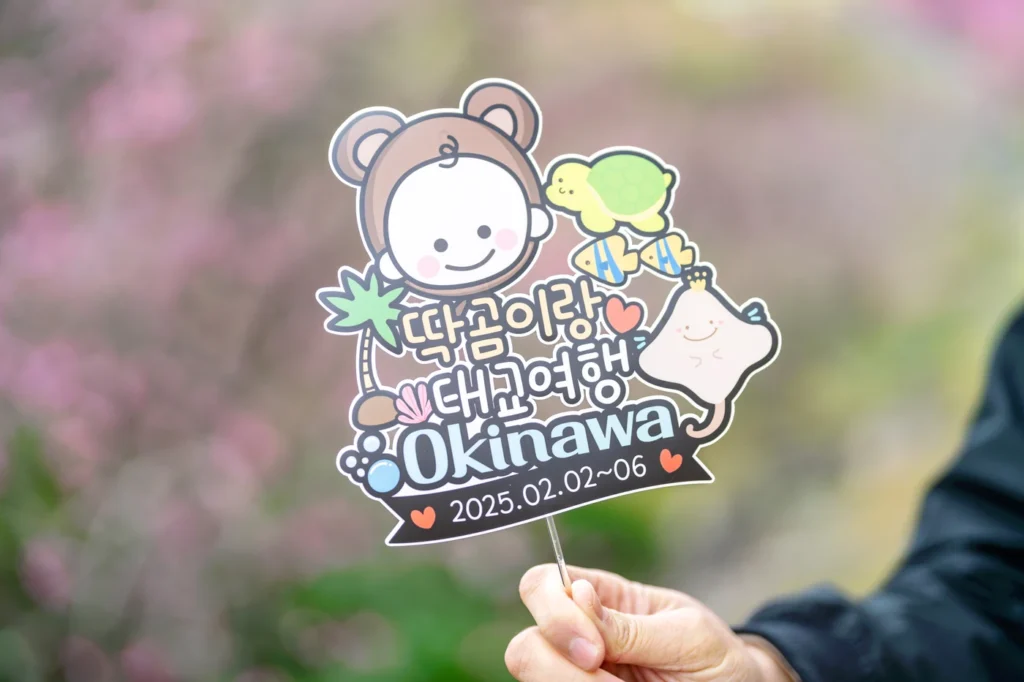 오키나와 스냅 태교 여행 피켓