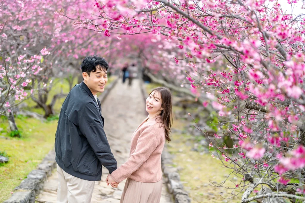 오키나와 스냅 벚꽃 배경으로 사진