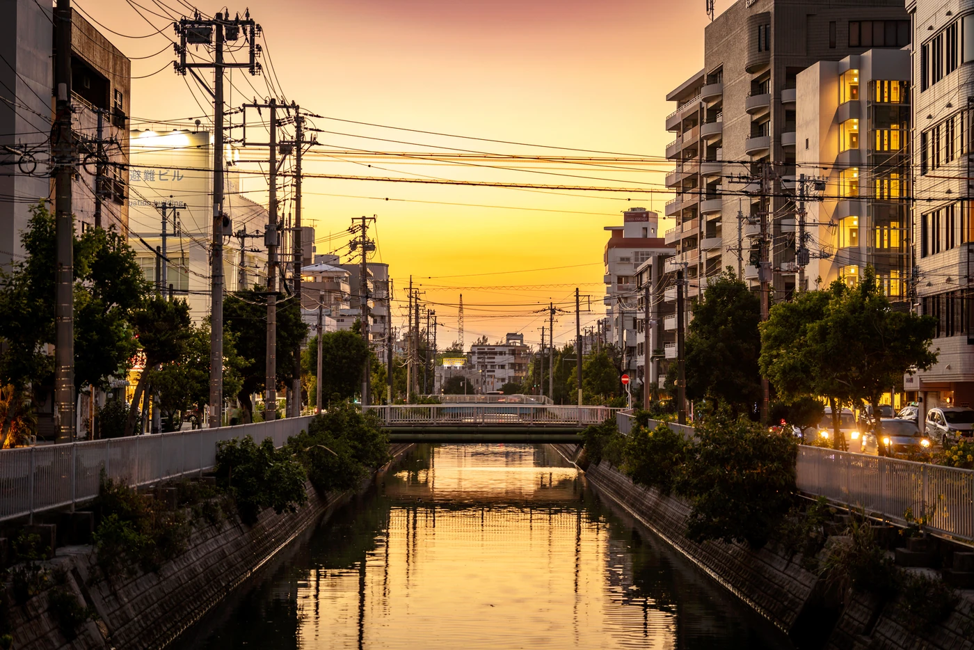 8月4日黄昏时分的美荣桥河岸