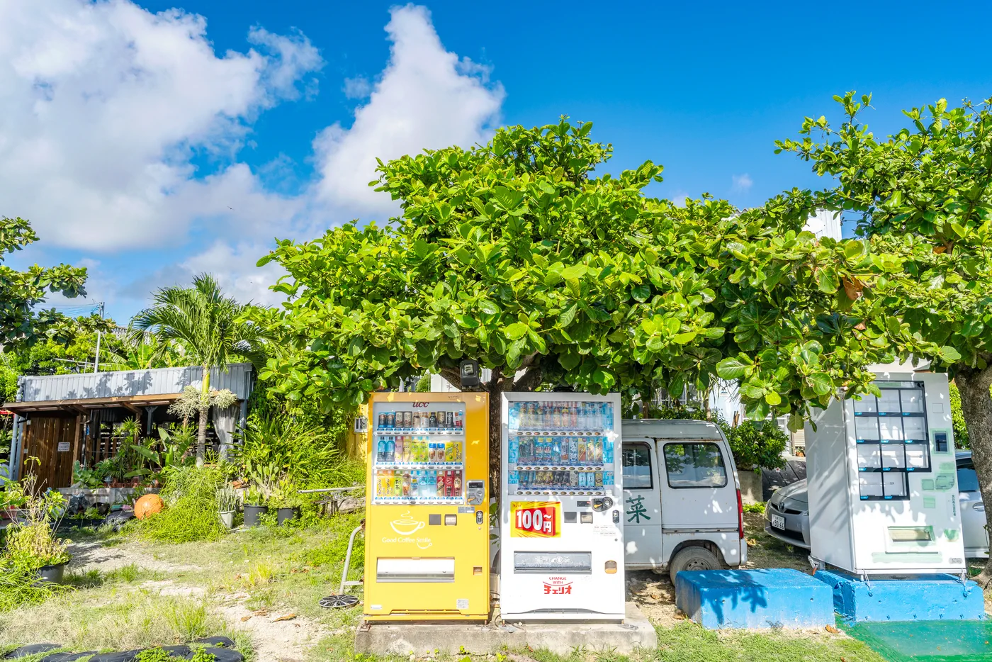 Ojima Island Summer Vending Machine