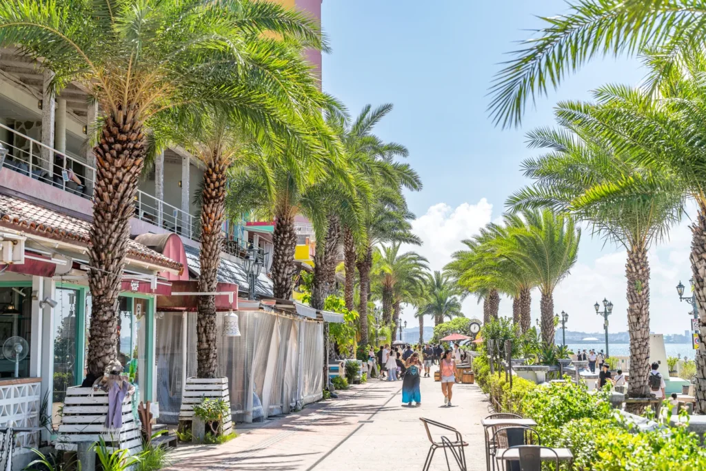 아메리칸 빌리지의 오후