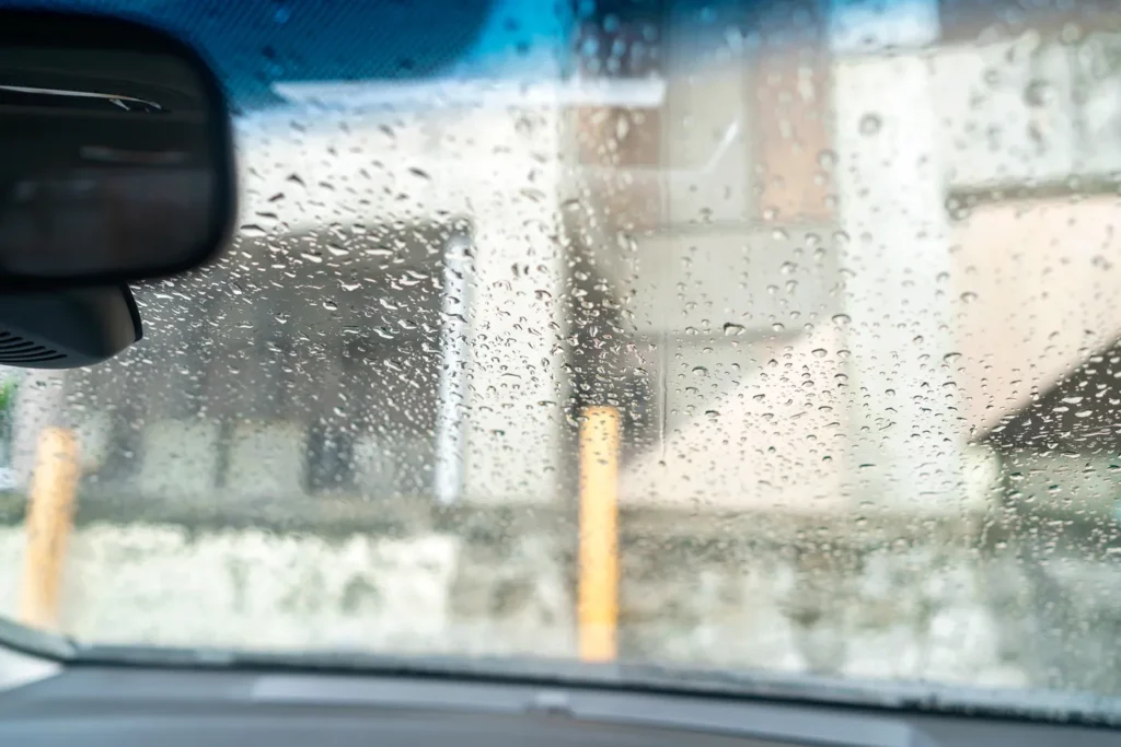 비가 왔던 오키나와 날씨