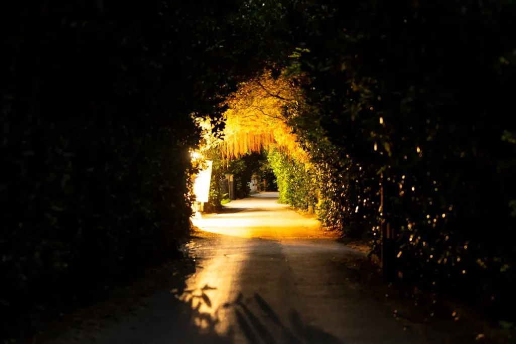 밤 비세후쿠기 길