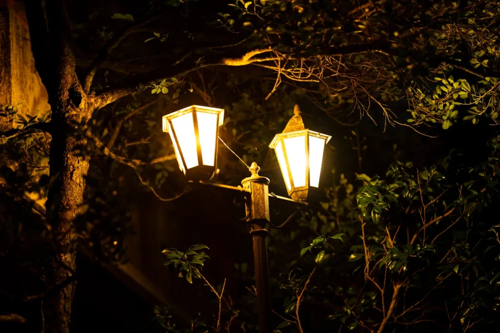 비세후쿠기 길의 조명