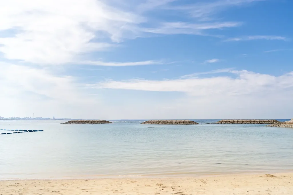 맑은 선셋 비치