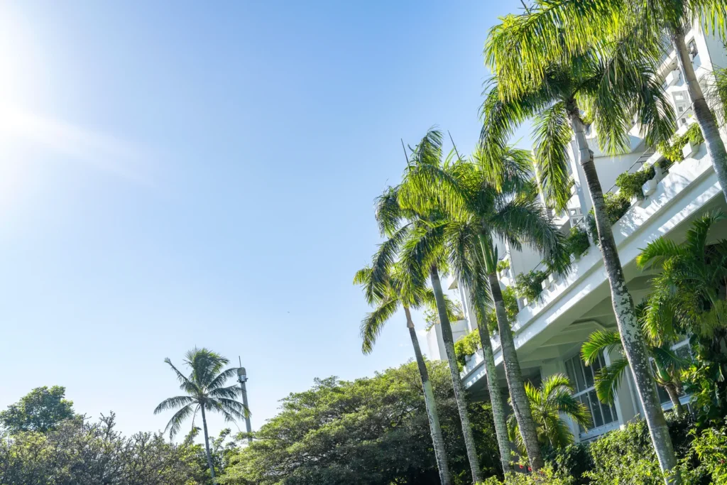 문비치 리조트 호텔의 주차장