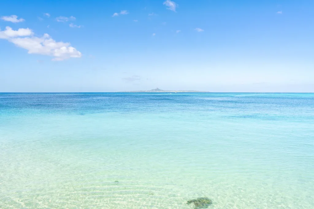 비세자키의 아침