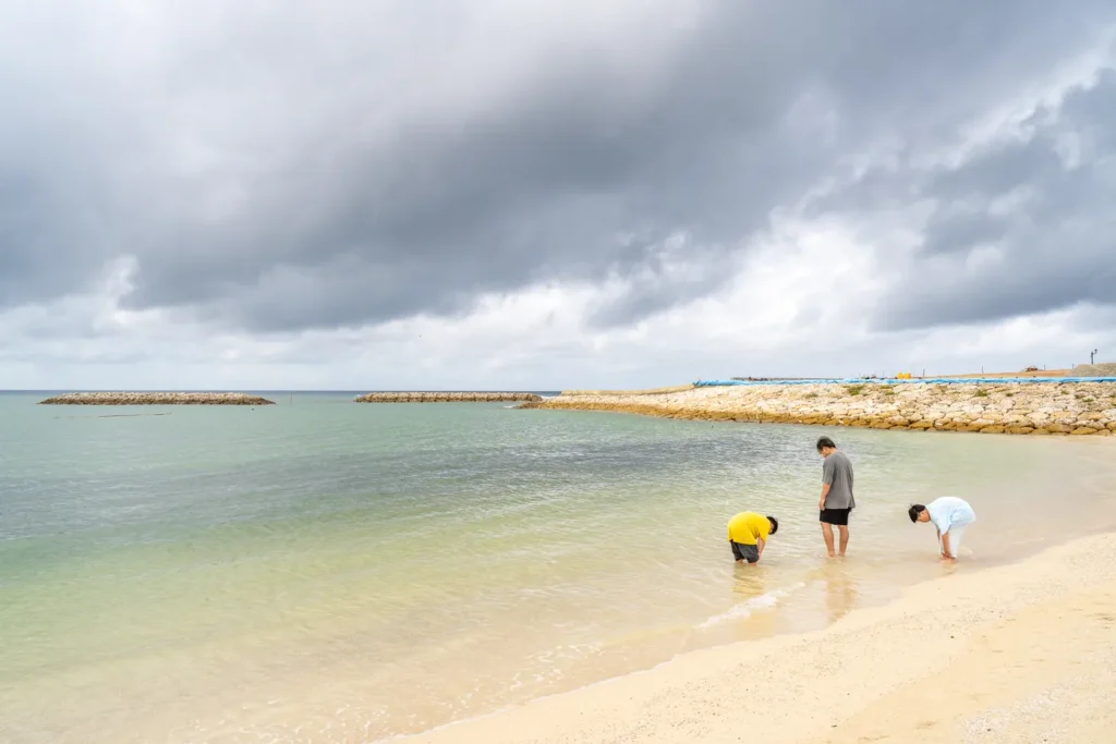 선셋 비치의 가족