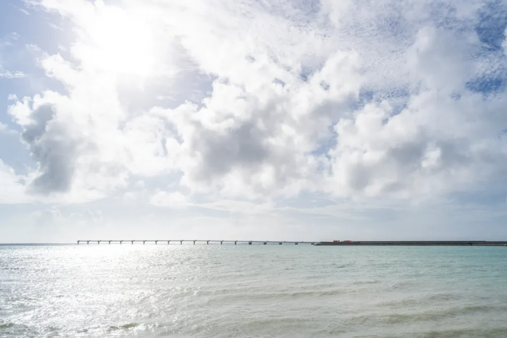 굉장한 습기와 고온으로 인해 더웠던 하루