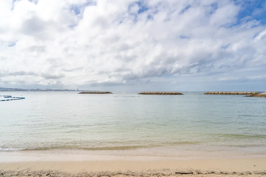 선셋 비치의 모습 파도가 강하다