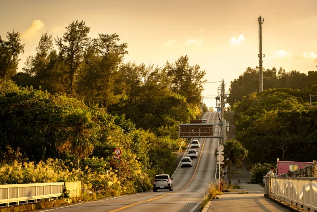 코우리 대교 남향