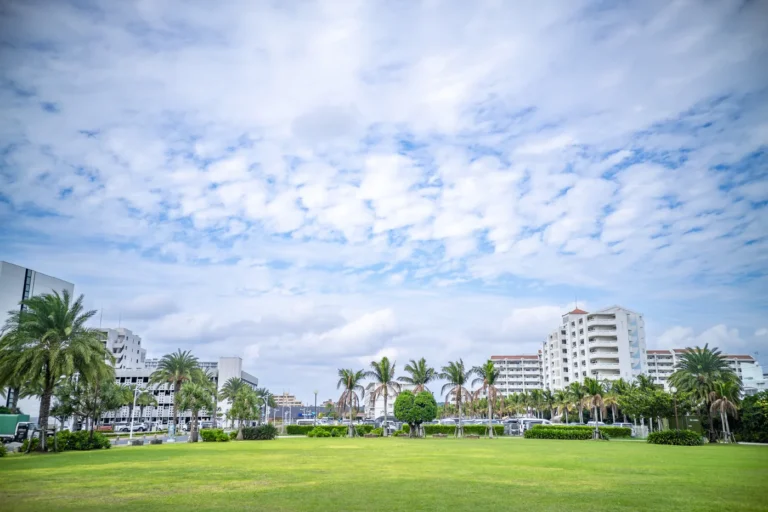 Okinawa Weather on 21st November 2025: A brief moment when the blue sky was visible.