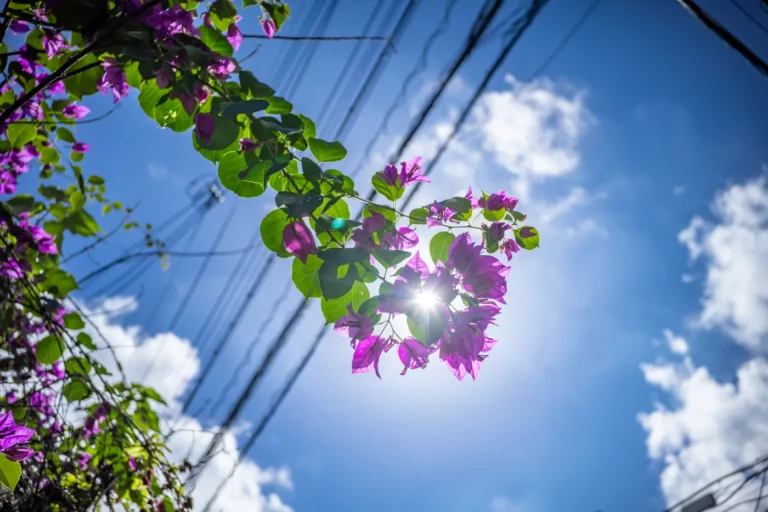 12월 2일 오키나와 날씨