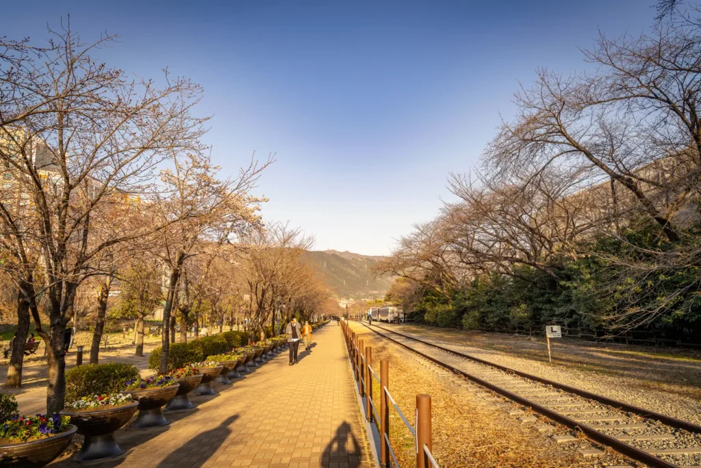 경화역의 모습이다. 아직 벚꽃은 거의 피지 않았다.