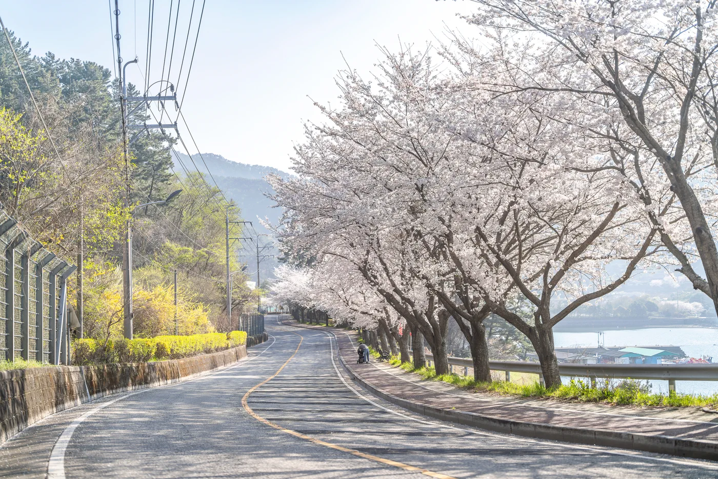운동삼아 유모차를 가지고 일주하는 사람도 종종 볼 수 있다.
