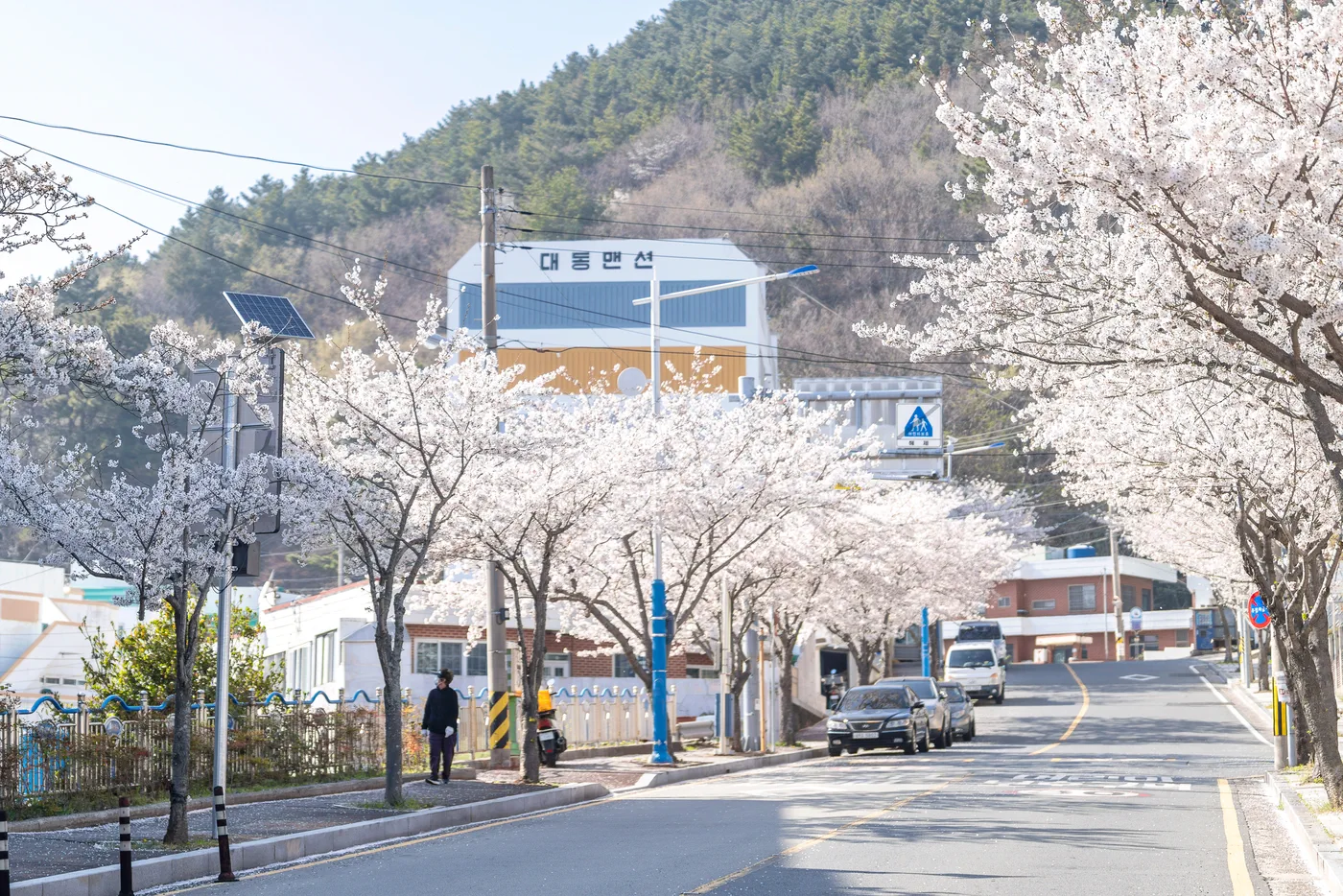 자전거 라이딩에 좋은 벚꽃길