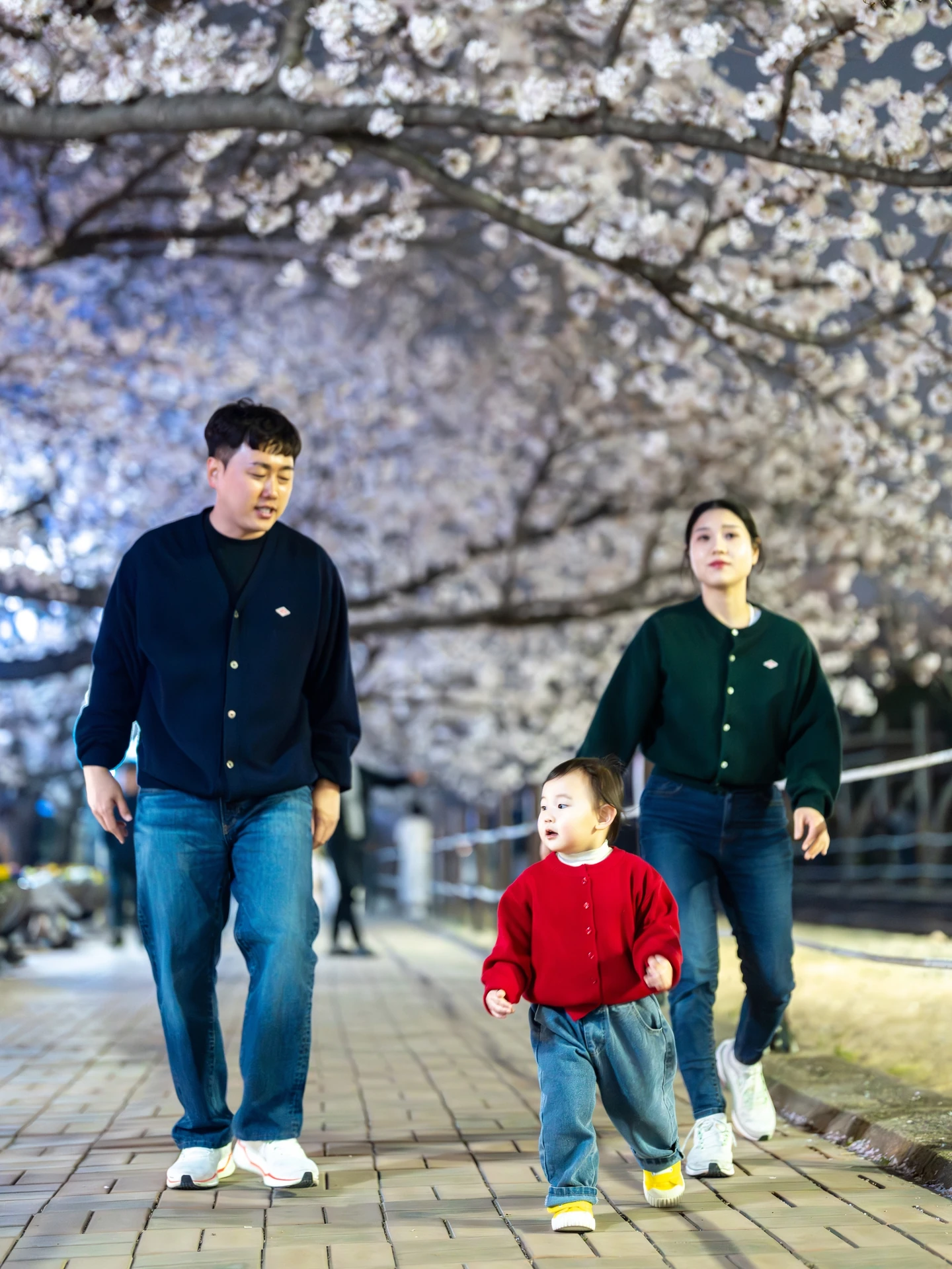 벚꽃 터널 아래 아기와 걷는 아빠와 엄마