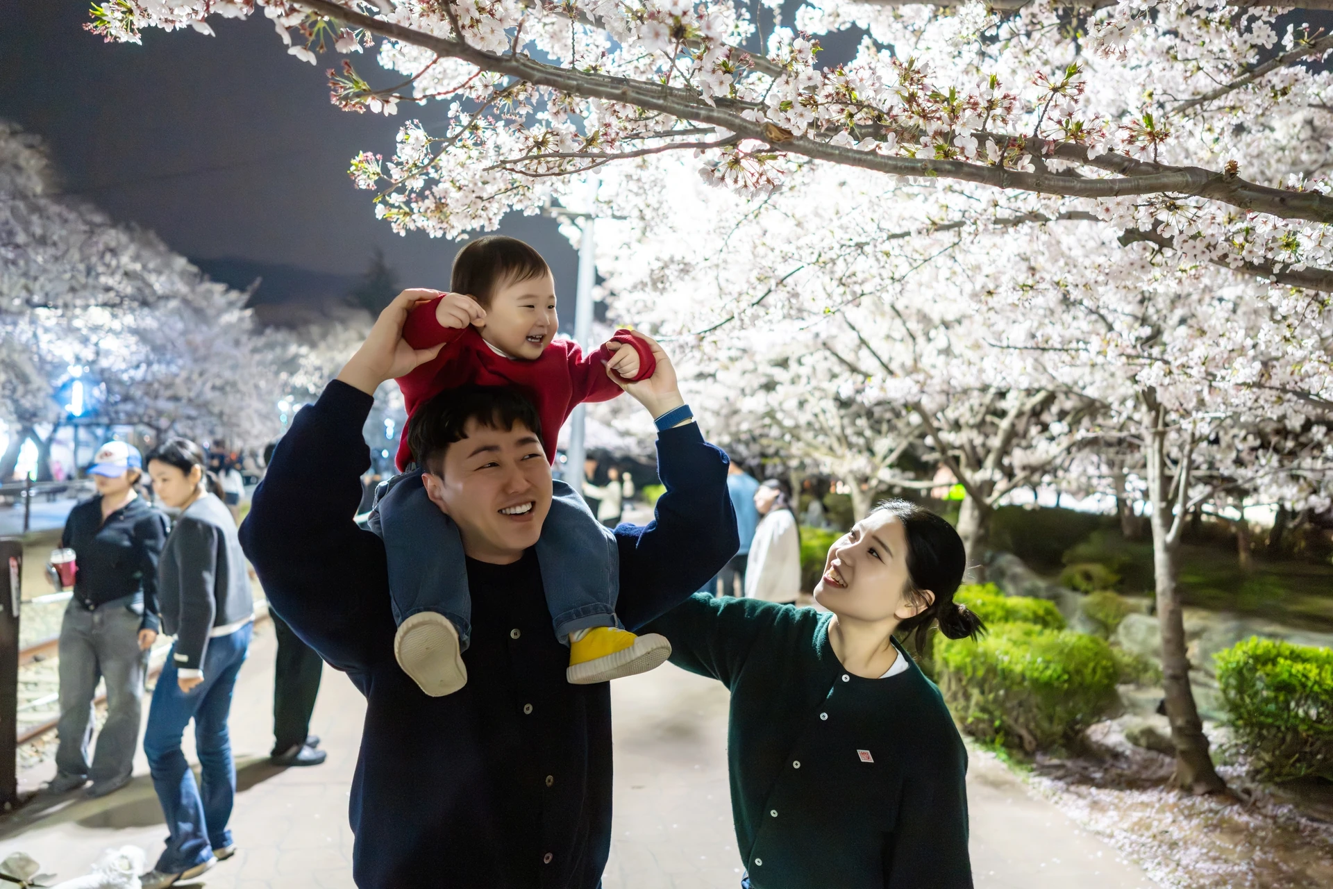 목마를 탄 아기와 벚꽃길을 걷는 엄마 아빠