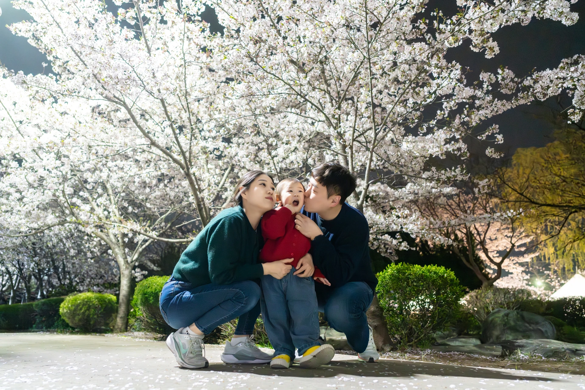 벚꽃 아래에서 아기에게 입 맞추는 엄마 아빠