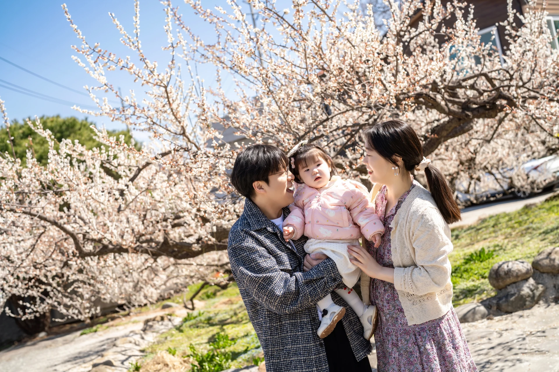 매화 나무 아래 아기를 안은 가족