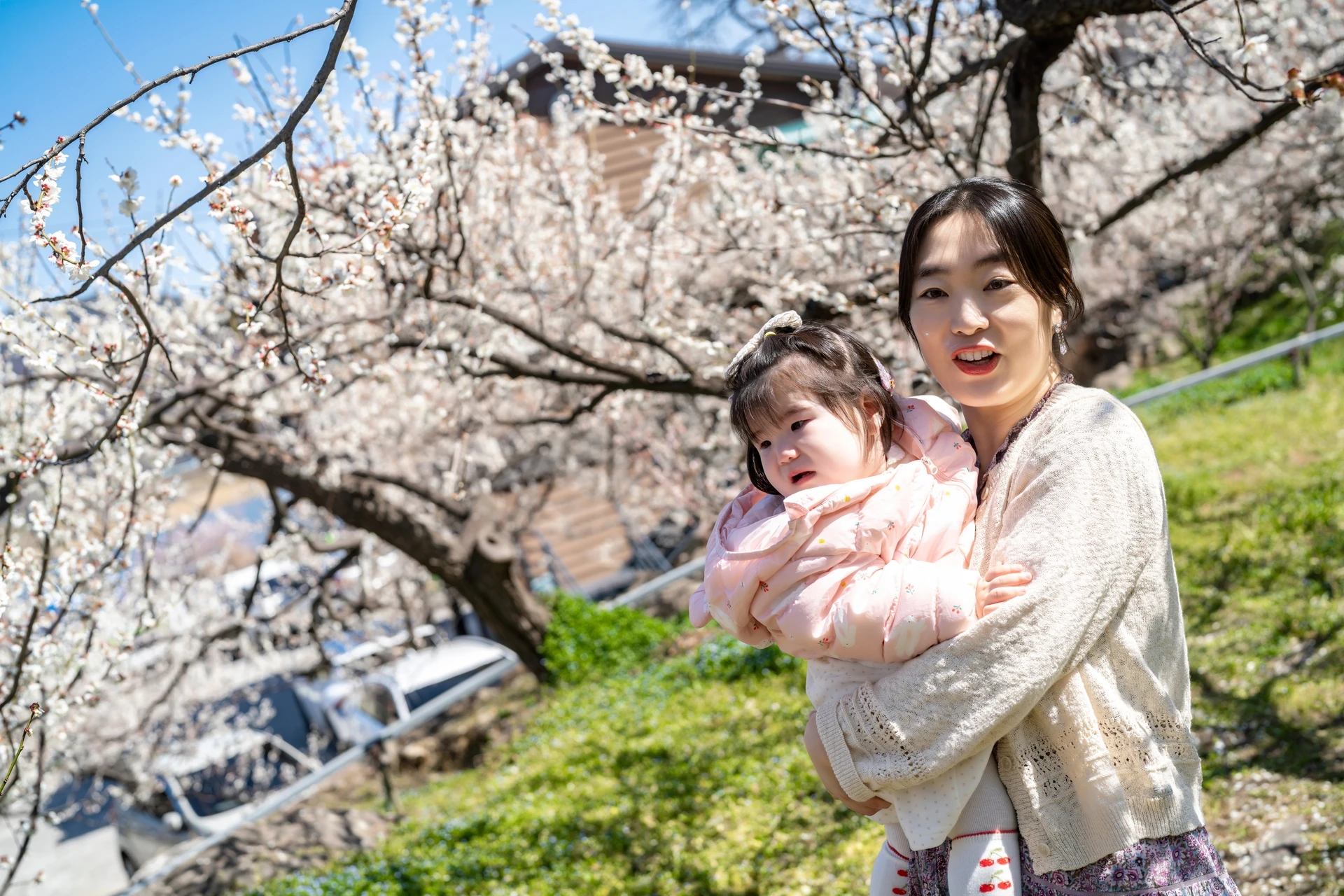 활짝 핀 매화 아래 아기를 안고 웃는 엄마