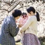 광양 매화 축제