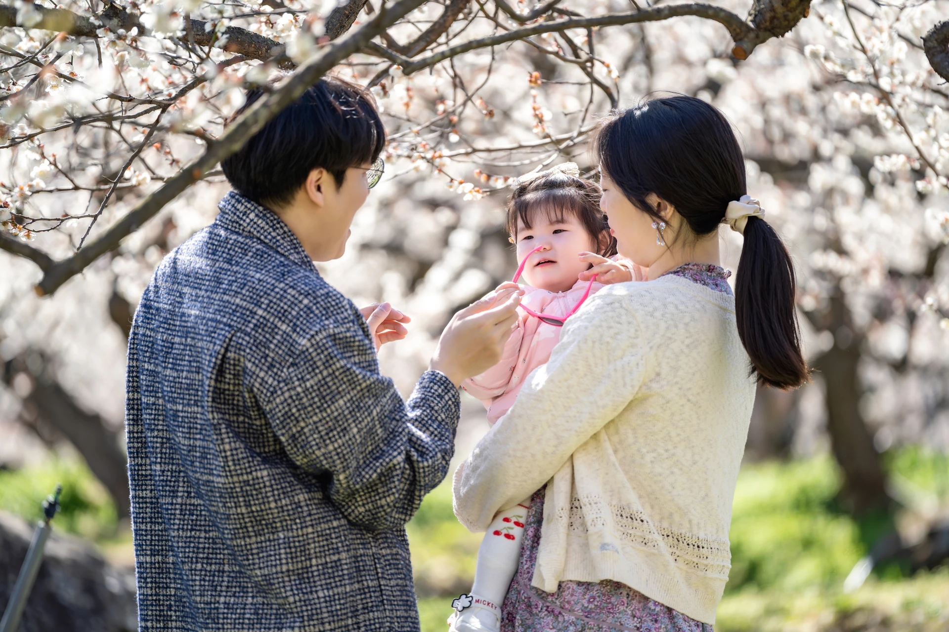 매화 아래에서 아기와 눈을 맞추는 아빠