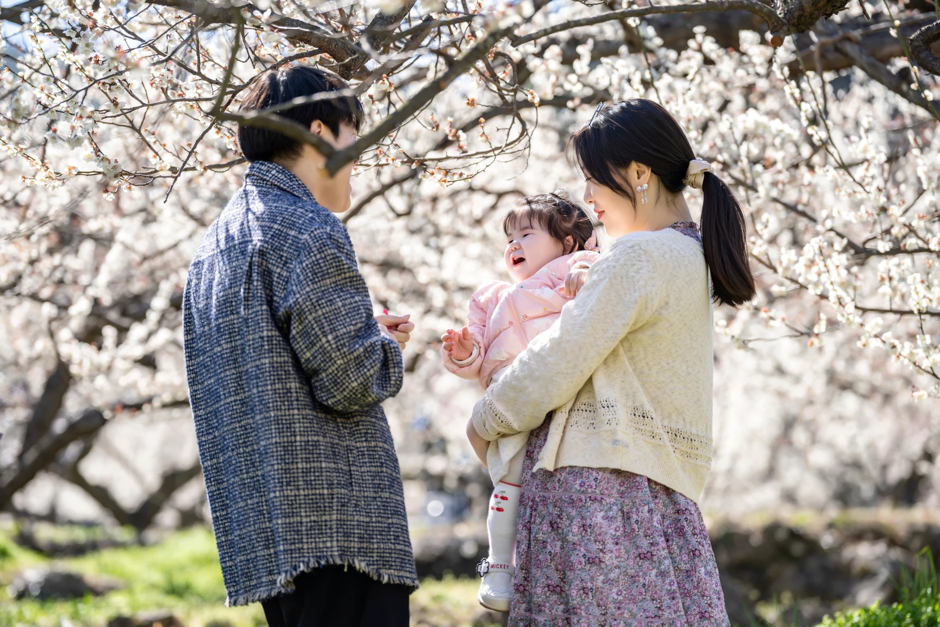 매화 나무 아래 아기를 안은 엄마와 아빠